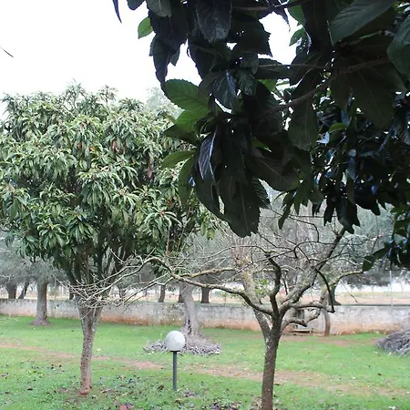 Don Carmelo Magliano